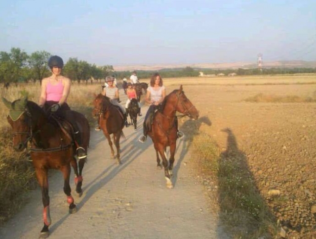 en familia o con amigos
